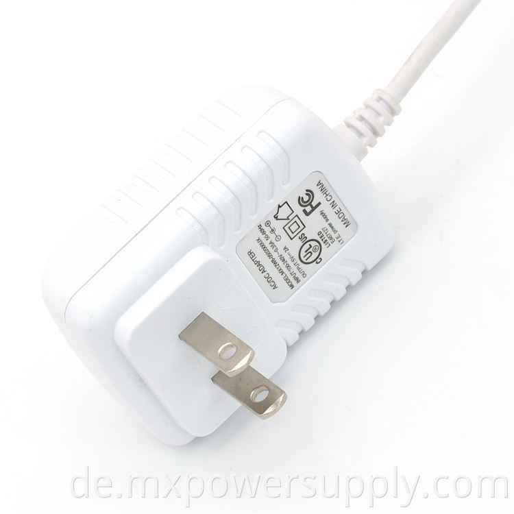 BIS -Zertifizierung Indien Plug Power Adapter 5V 9V 12V 1A für Sicherheitsprodukte